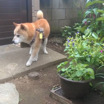 雨と季節の移り変わり