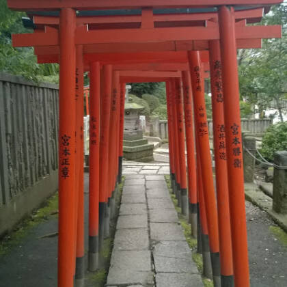 根津神社に行ってきました