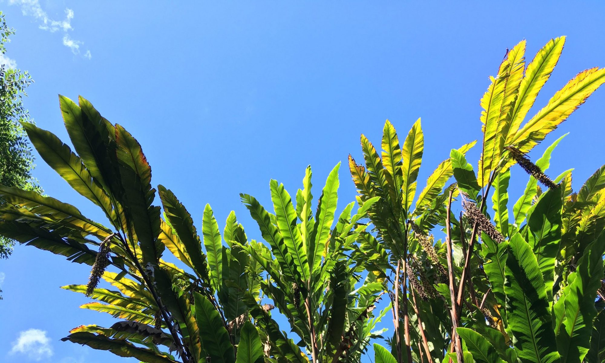 霊感カウンセラー土屋幸宏