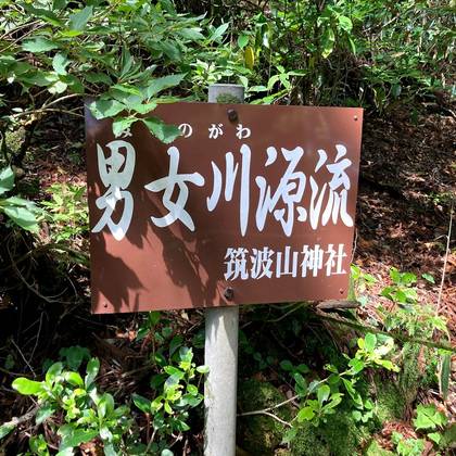 夏至の日の筑波山神社　紫峰杉と男女川