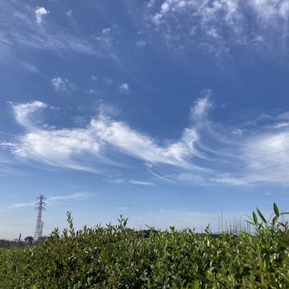 覆水盆に返らず　区切り