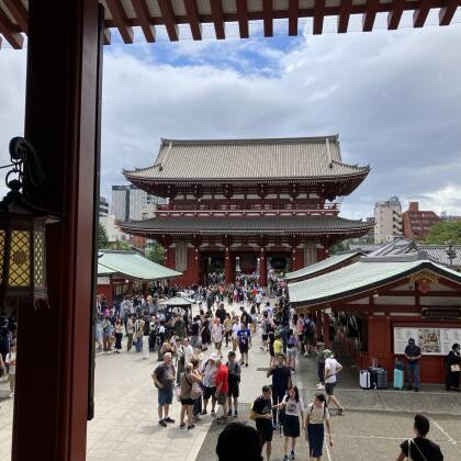 雨の日の占い処たまる