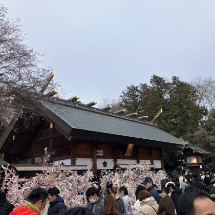 櫻木神社さんの初詣