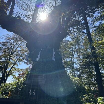 熊野皇大神社に参拝しました　わんこ