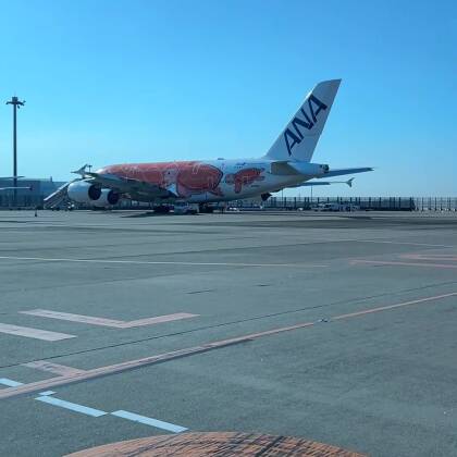 大阪へ飛行機での移動：往路
